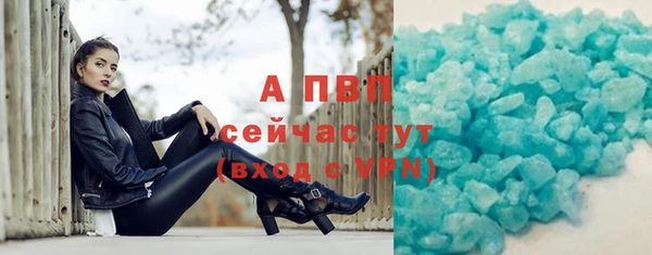 стафф Каменногорск