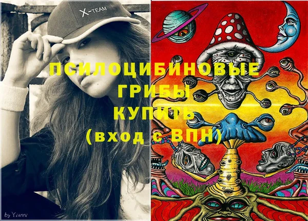 стафф Каменногорск