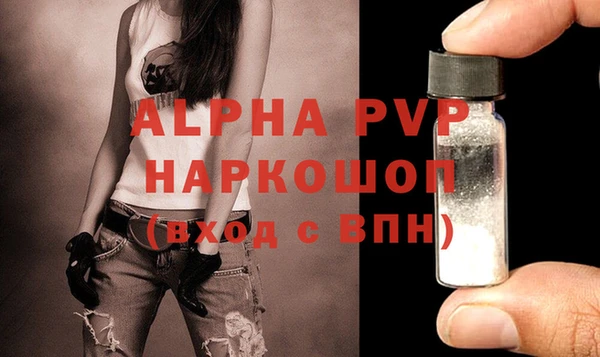 стафф Каменногорск