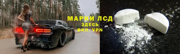 стафф Каменногорск