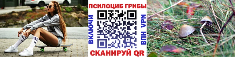 Купить  Гороховец  Псилоцибиновые грибы GOLDEN TEACHER 